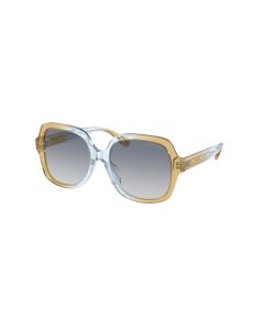 0HC8395F Cider / Baby Blue Sunglasses (58143556)