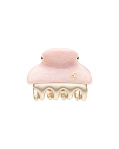 Gold Teeth Crazy Crab Collection: Small Size Gold Teeth Crazy Crab - Pink