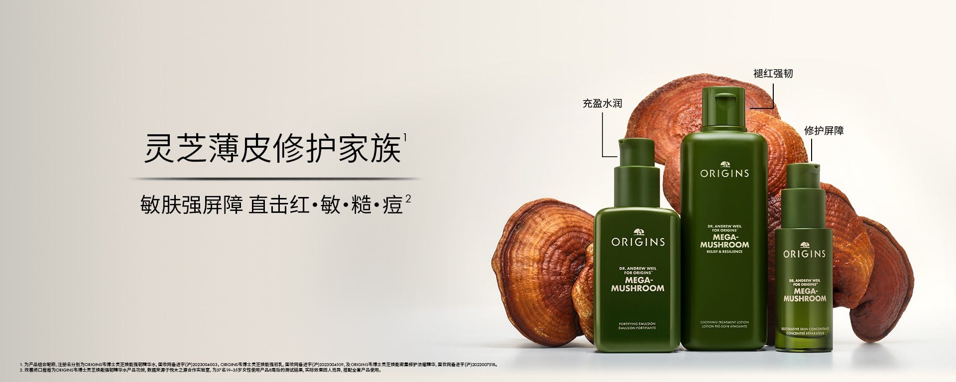 灵芝系列